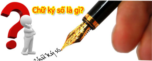 cks3.jpg