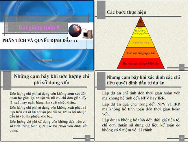 DAU TU 1.jpg