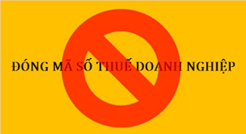 dong.jpg