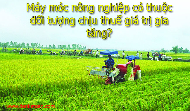 duy4.jpg