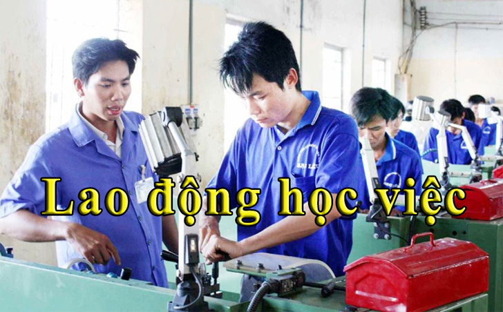 hoc copy.jpg