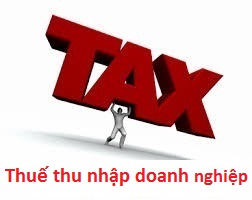 -TNDN.jpg