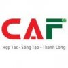 dich-vu-caf-ke-toan-kiem-toan.jpg