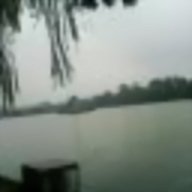trang90kt