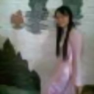 cá sấu con
