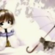 baocat.nt