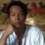 aries dinh