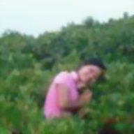 nhungbui238