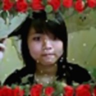 thuy.kt