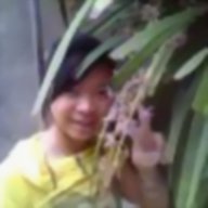 hoatuyet9xx