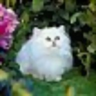 Lien bich