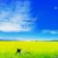 thanh20
