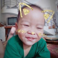 bienkd2008