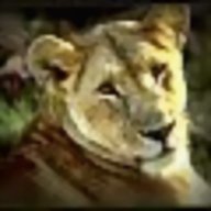Lion King