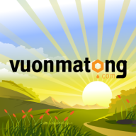 vuonmatong