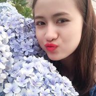 trieunhung2711