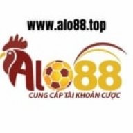 alo88top