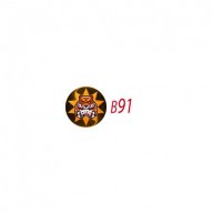 b91link