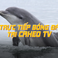 caheotv1