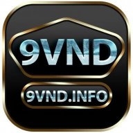 9vndinfo