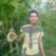 leloc86