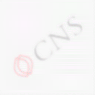 cnsvietnam