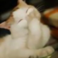 meo.big