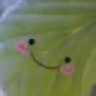 bigcandyvnn