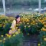 utway_87