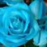 camen