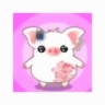 heoconbeo_tc