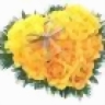 thuanctk06