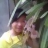 hoatuyet9xx
