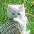 Thuy.seamco