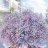 Thuynguyen036