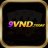 9vndtoday