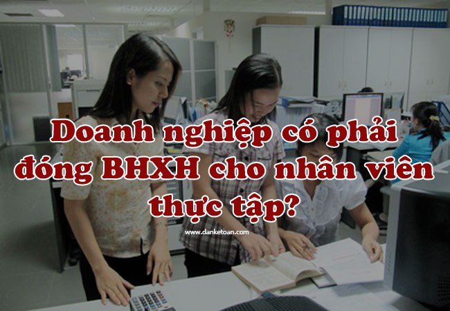 tt copy.jpg