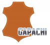 logo test 2-01.jpg