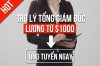 Trợ Lý Tổng Giám Đốc.jpg