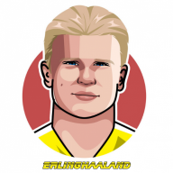 erling haaland